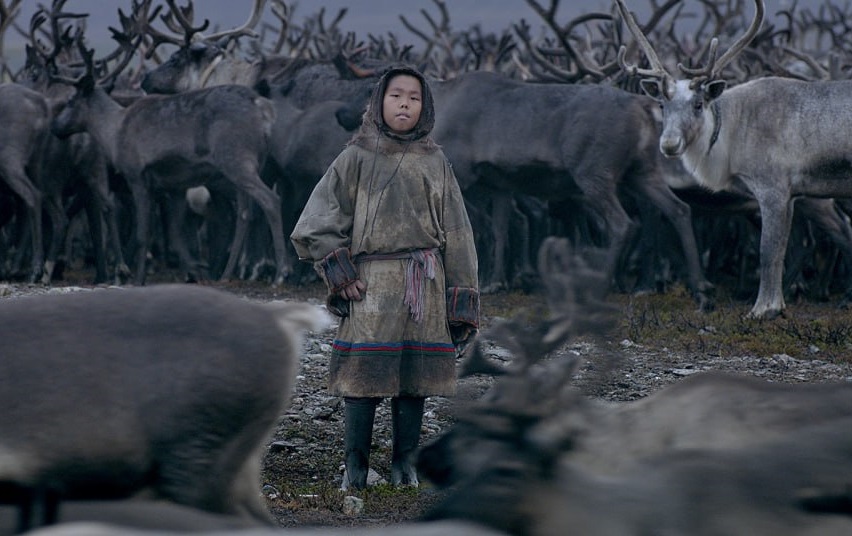 СМИ Медиа «Цинга» в цене. Кинофестиваль «Зимний» назвал победителей