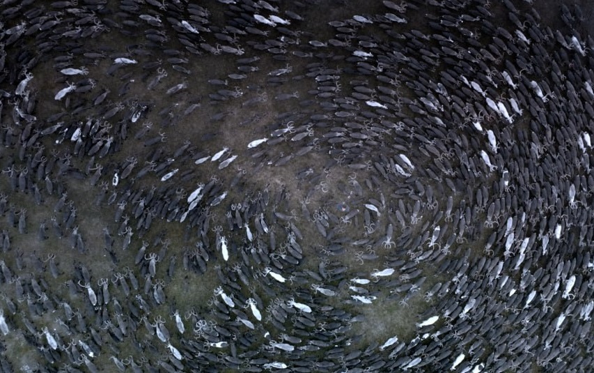 СМИ Медиа На Ямале этой осенью начнется съемка художественного фильма «Цинга»